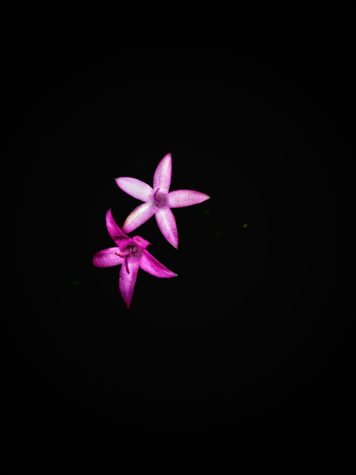 Beautiful Darkness #2