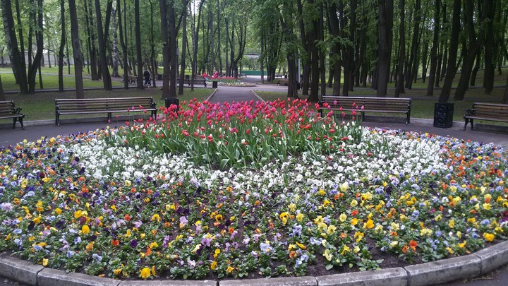 сад