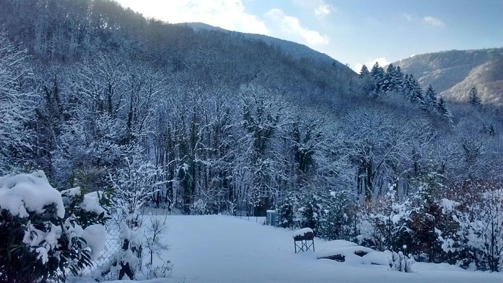 snow