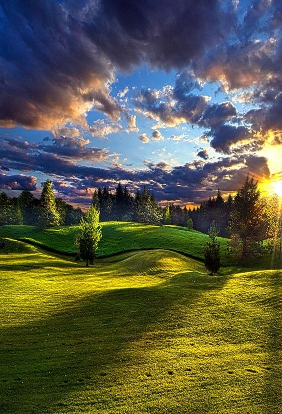 it is nice