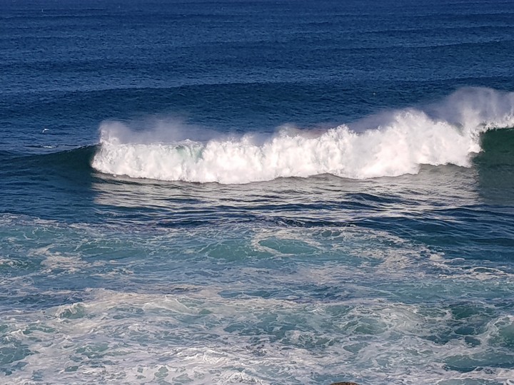 dynamic wave
