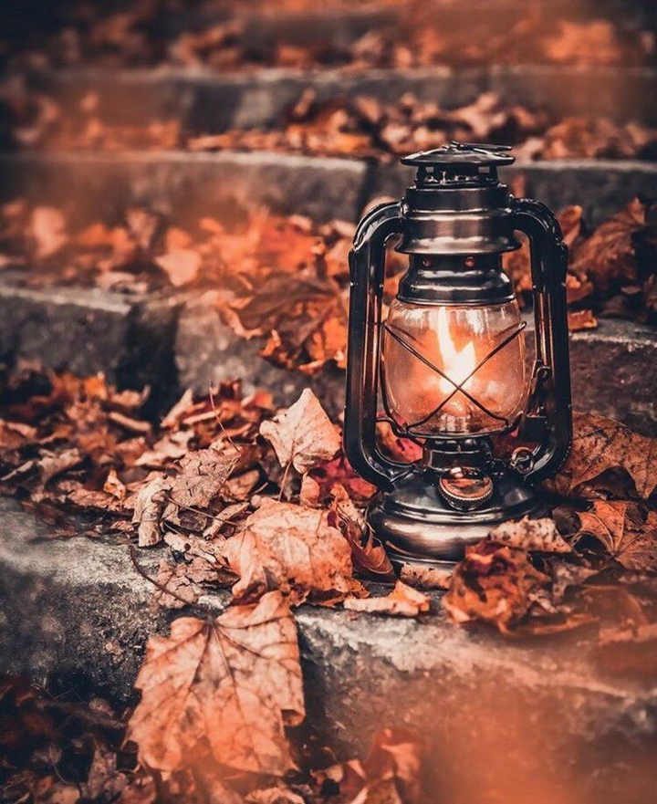 ➖♣️... Lantern...♣️➖