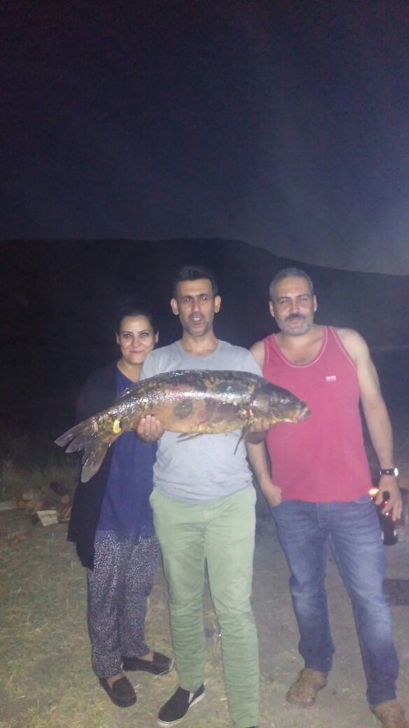 18 kilo sazan balığı