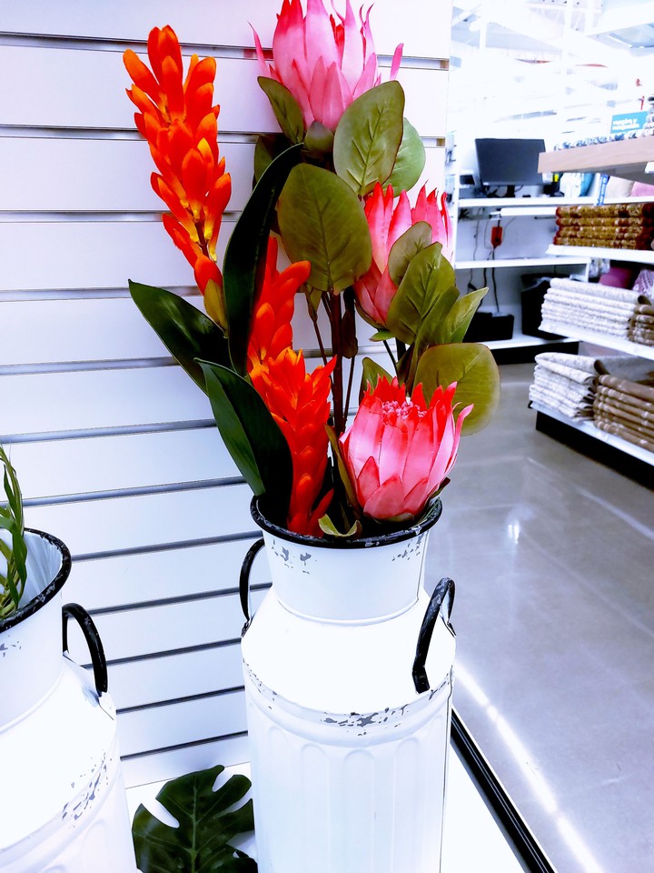 I need these beautiful flowers in my house, to spend the aut