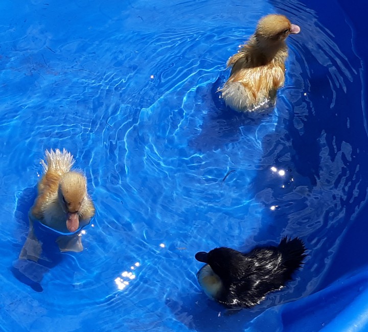 Water fun