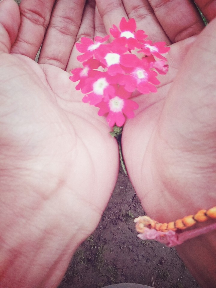 Ossm Flower