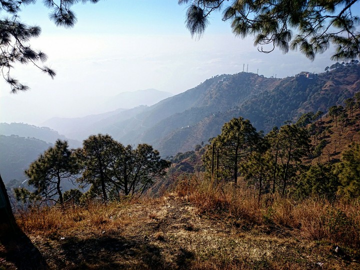 Kasauli