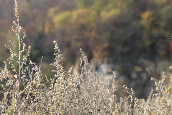 Tranquil view from a cliff