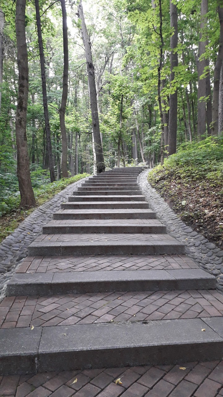 В парке
