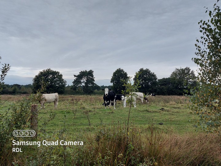 natuur