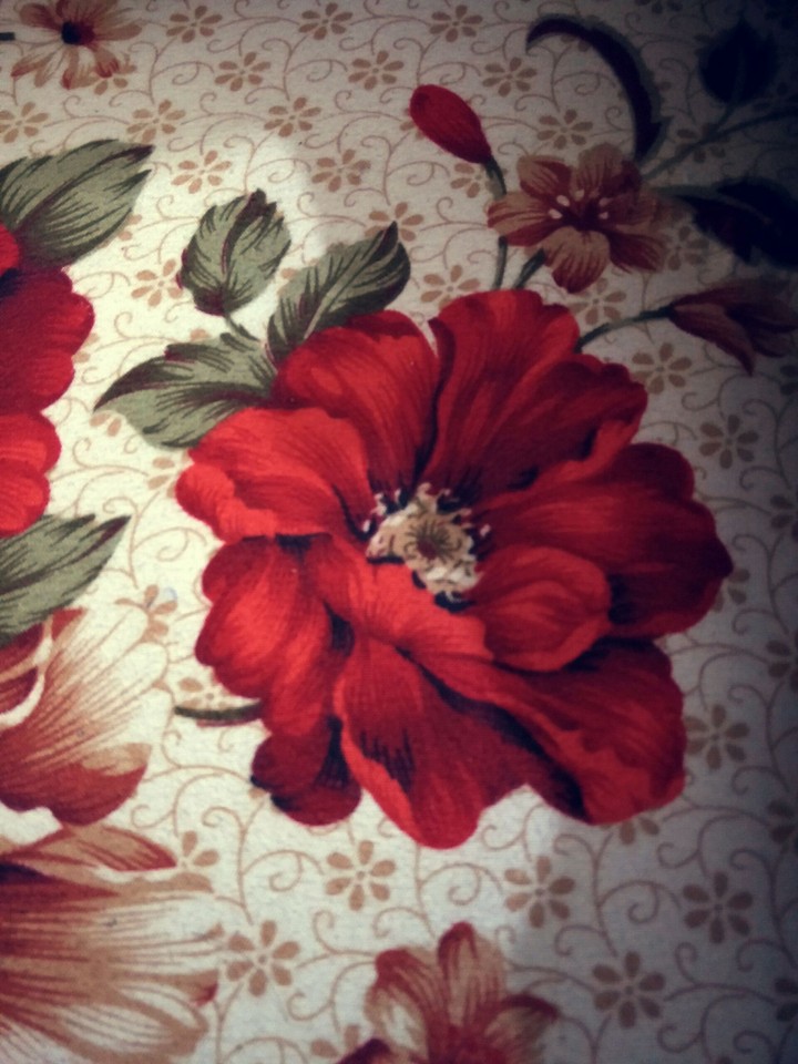 Rose Painting
