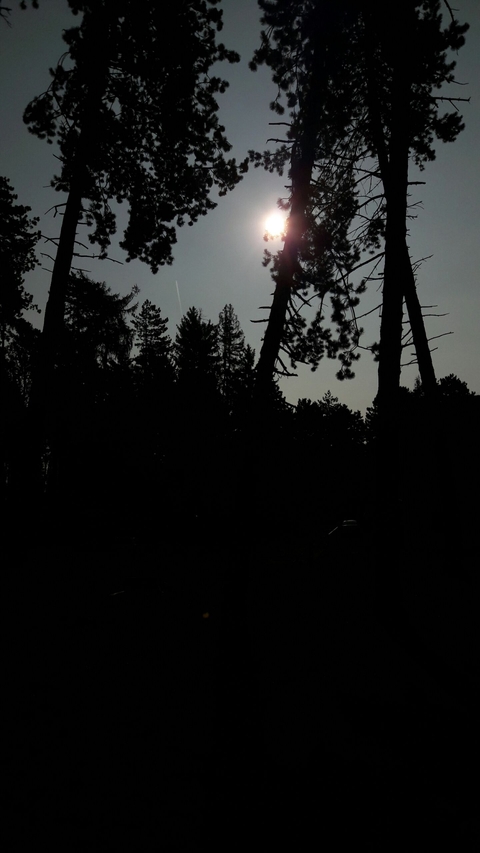 sun