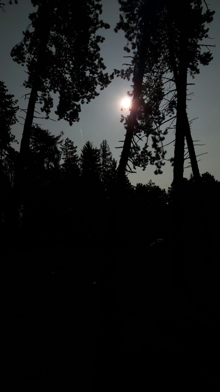 sun