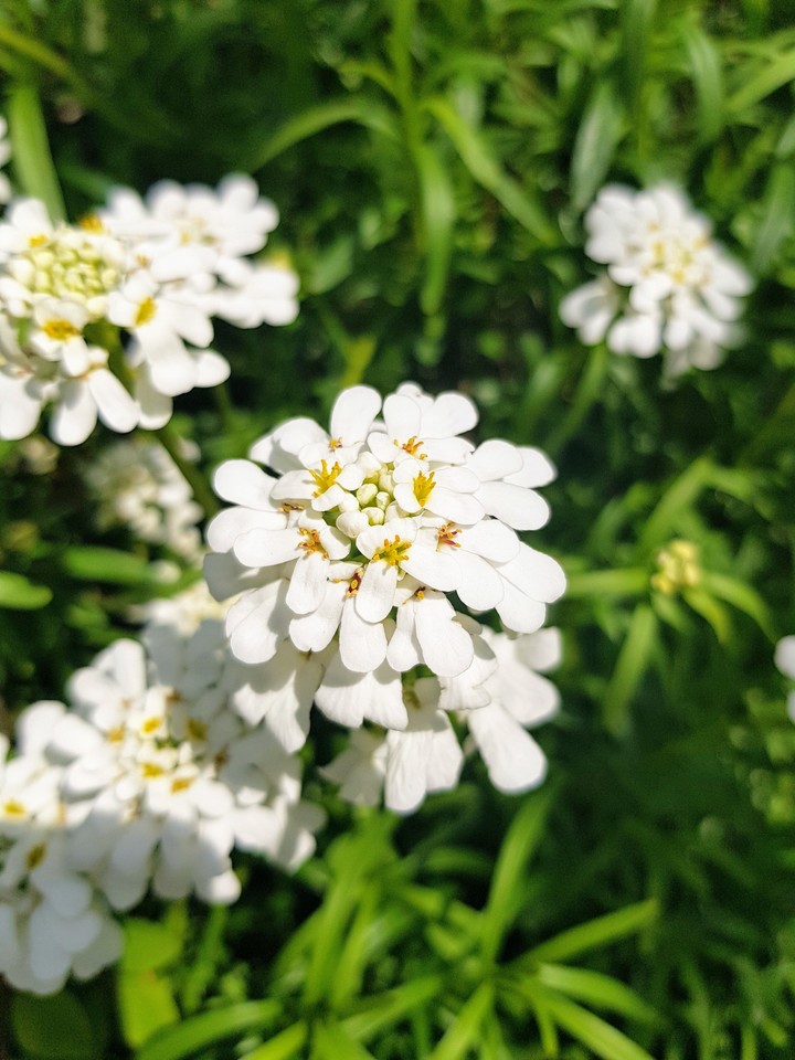 my photographic :")