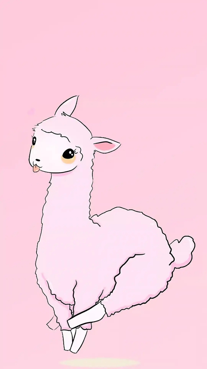 침 뱃는 알파카