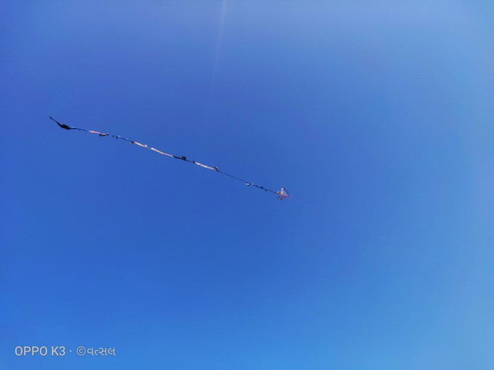 kite