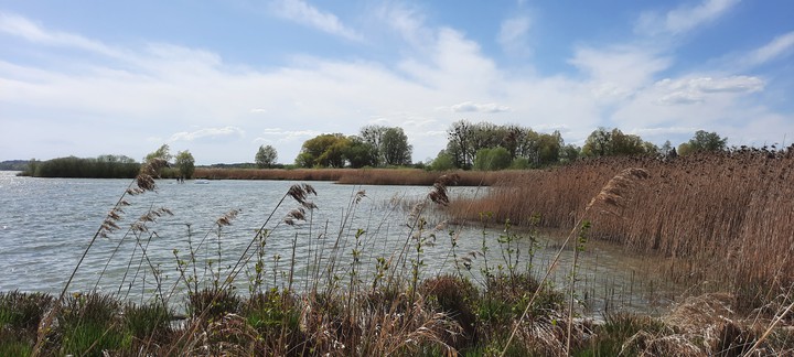 Chiemsee