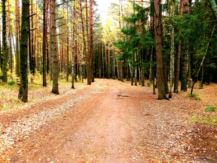 04.10.2019