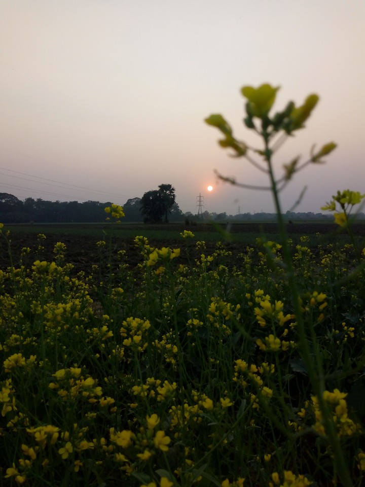 #On sunset time