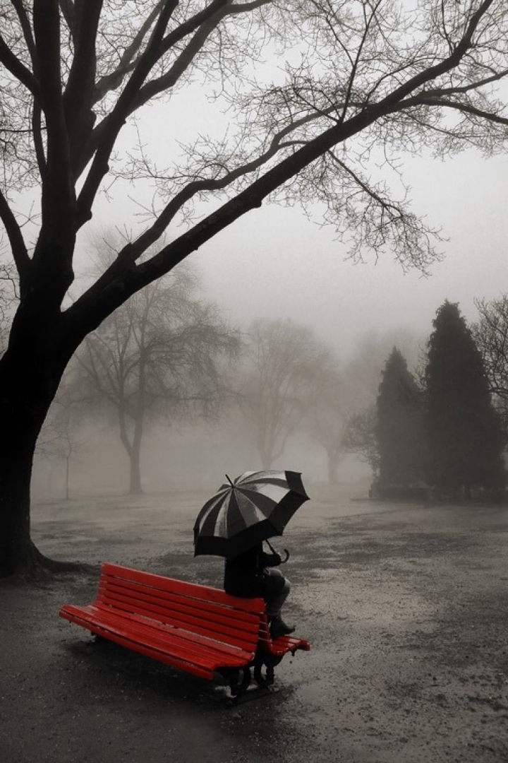Umbrella