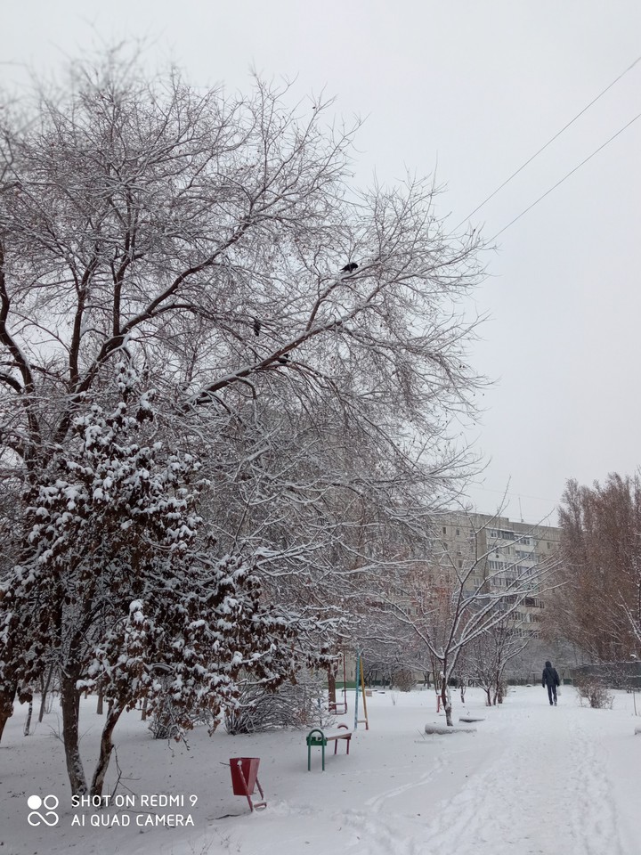 Зимнее утро