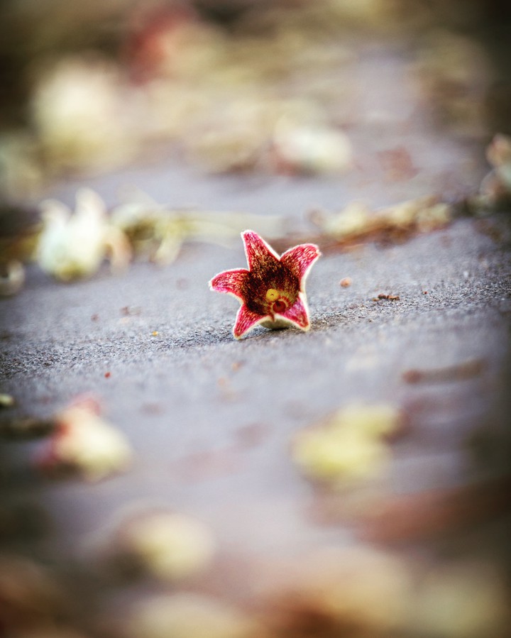 alone
