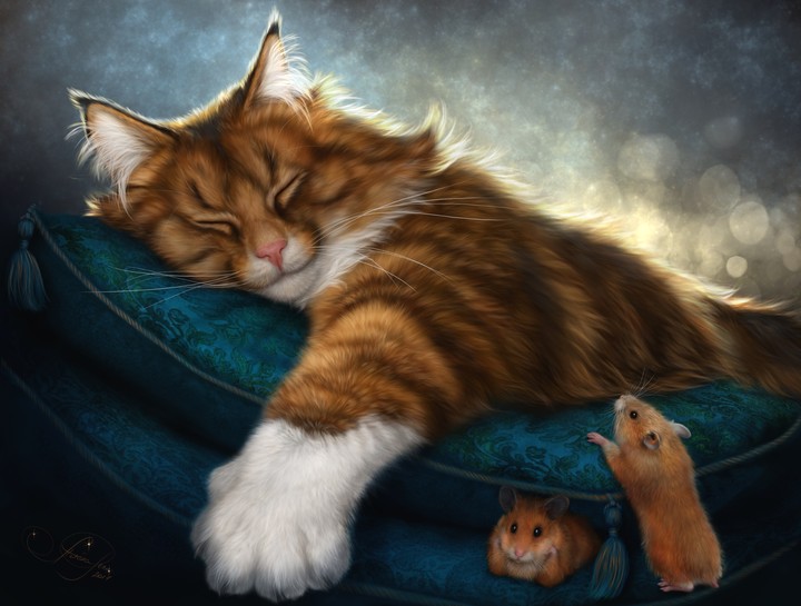 cat and mouse