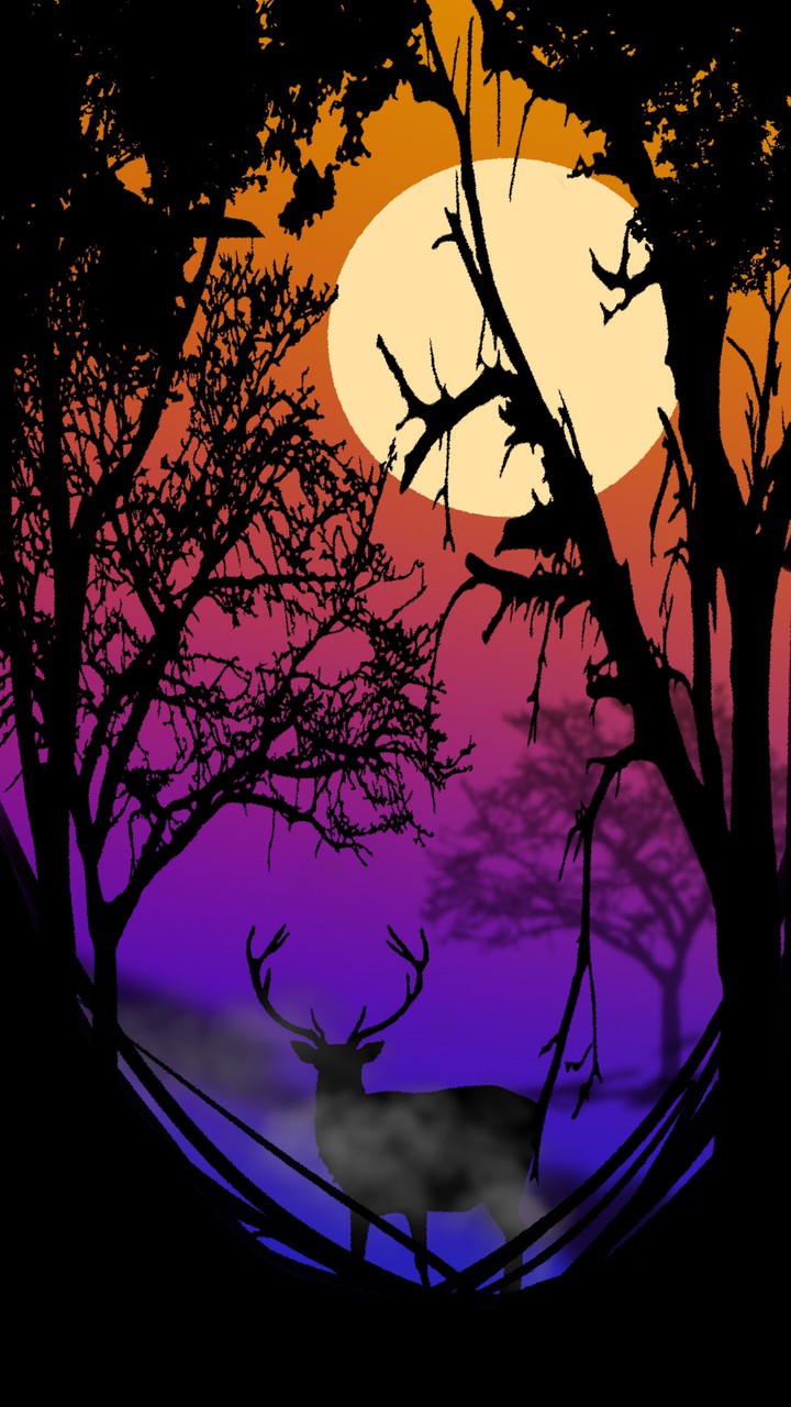 colour ful maan