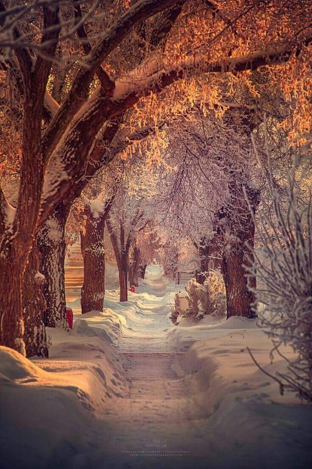 winter has come...