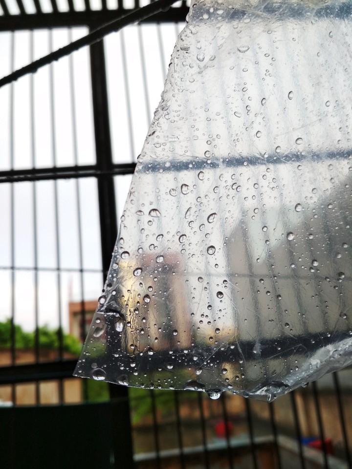 A beautiful rainy day