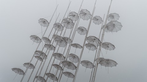 Umbrella