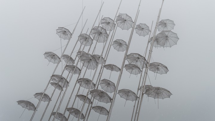 Umbrella