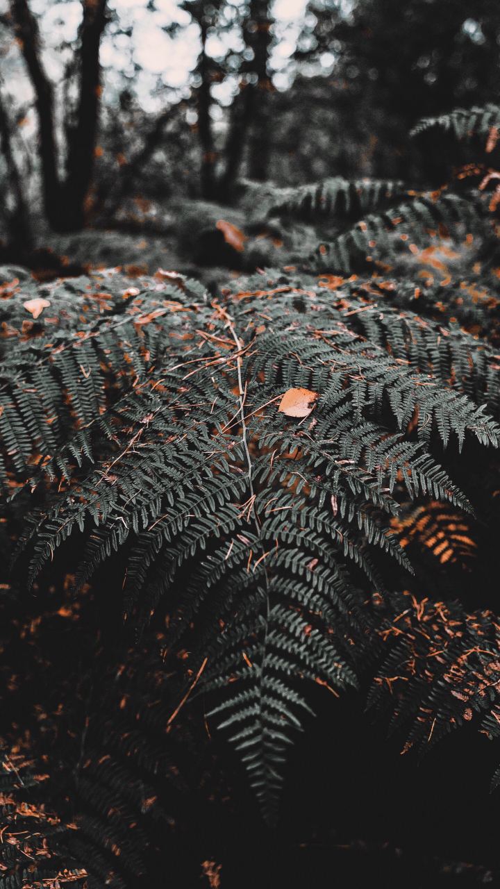 ,