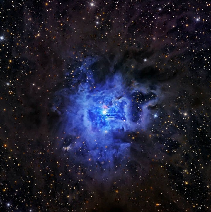 indigo Nebula