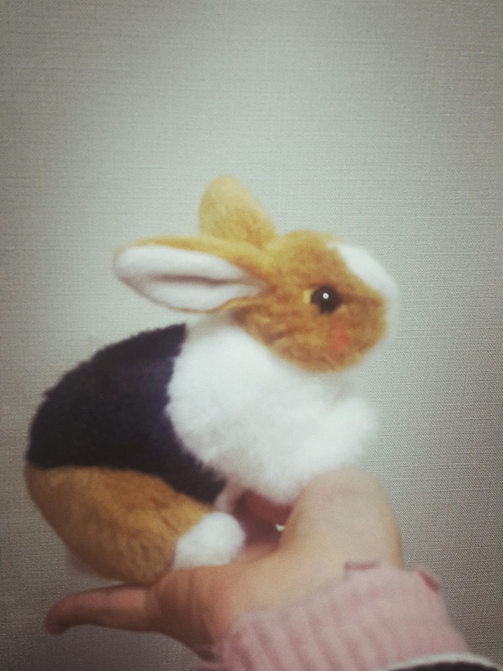 토끼 인형