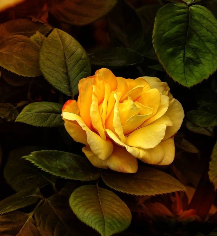 Yellow