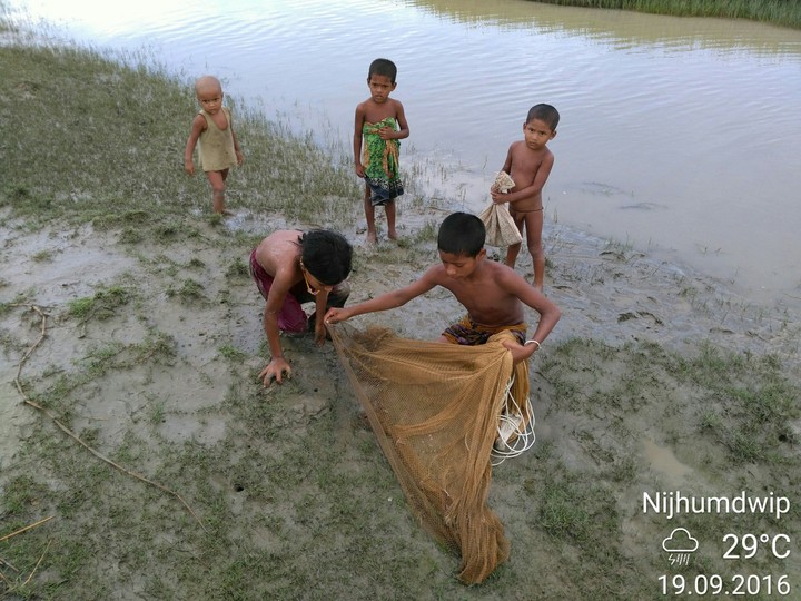 মাছধরা