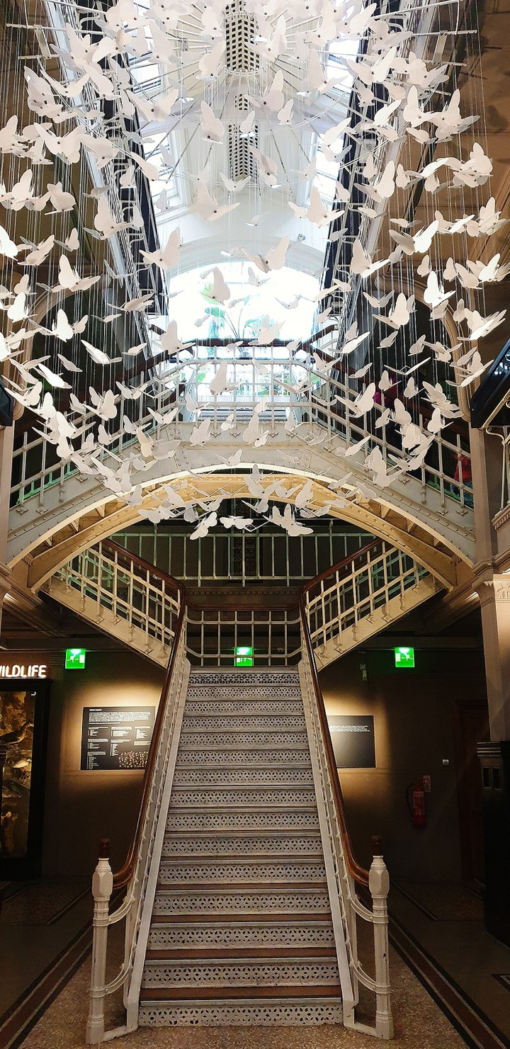 Museum