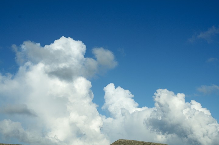 Scenics