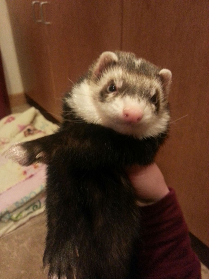 Hey