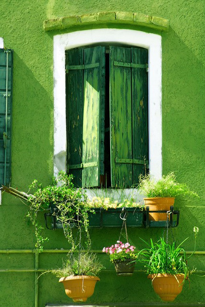 Pantone greeny