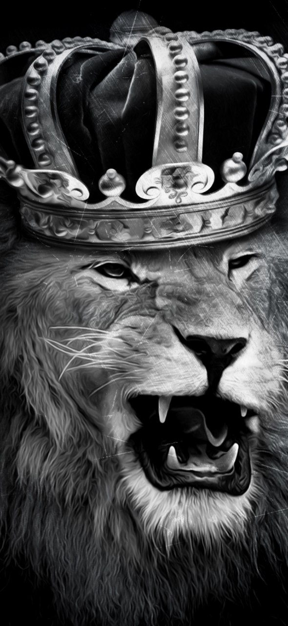 lion