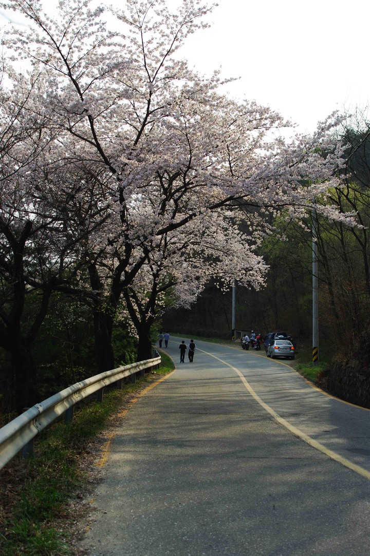 Spring