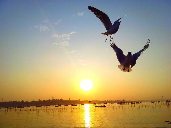 sangam