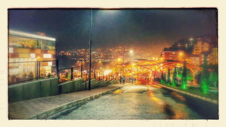 Bülent Ecevit Üniversitesi