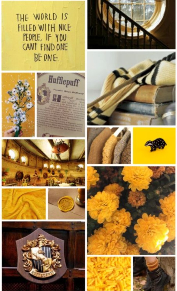 hufflepuff aesthetic