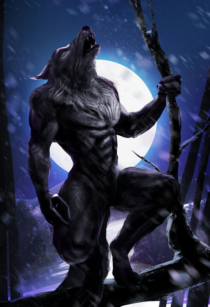 wolf