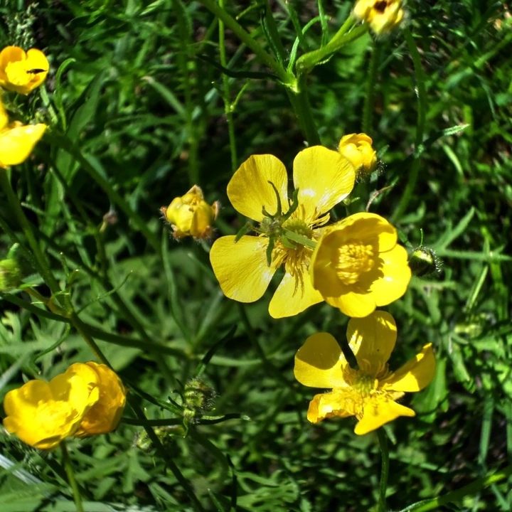 #Україна #весна #spring