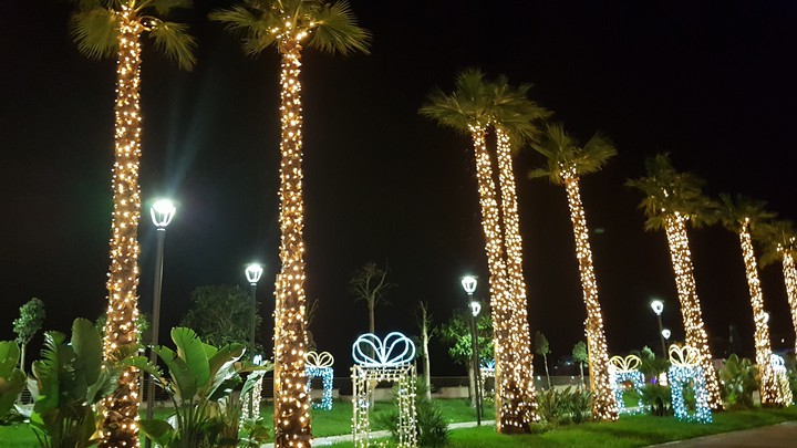 christmas for beach