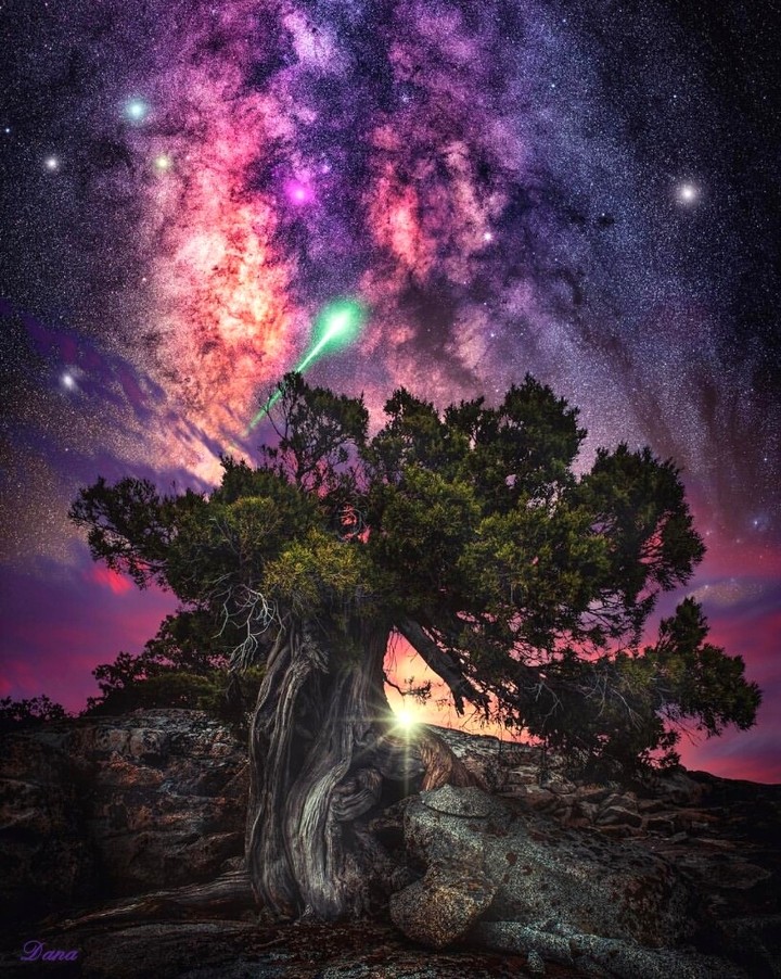 beautiful night